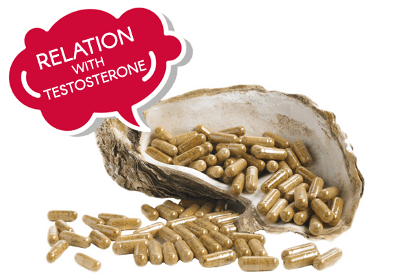 Oyster Extract Testosterone