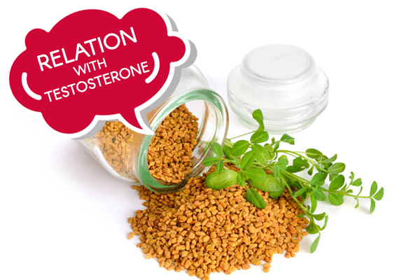 Testofen Fenugreek Testosterone