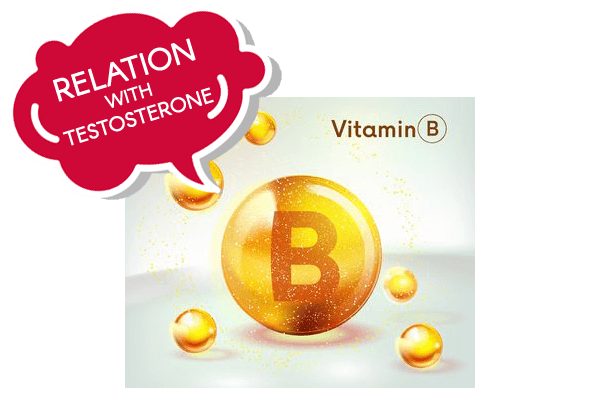 Vitamin B6 B12 Testosterone