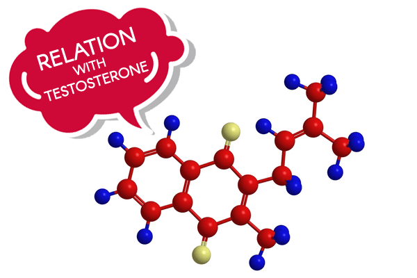 Vitamin K2 MK7 Testosterone