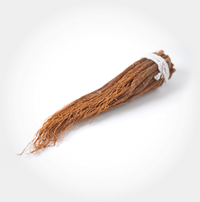 Korean Red Ginseng Logo
