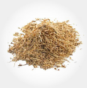 Nettle Root Extract Logo